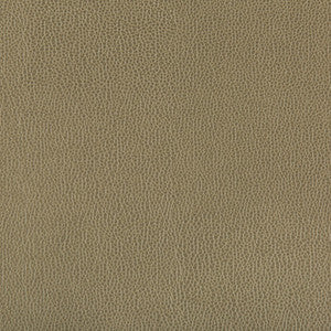 Lenox Bayleaf by Kravet Contract Fabric