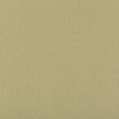Lenox Sage by Kravet Contract Fabric