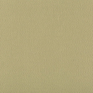 Lenox Sage by Kravet Contract Fabric