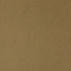Lenox Sparrow by Kravet Contract Fabric