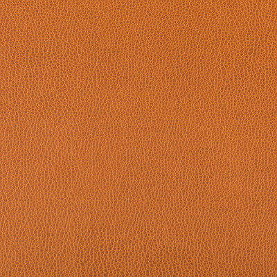 Lenox Marmalade by Kravet Contract Fabric