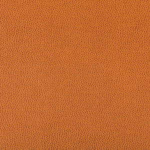 Lenox Marmalade by Kravet Contract Fabric