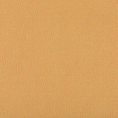 Lenox Camel by Kravet Contract Fabric