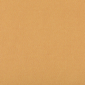 Lenox Camel by Kravet Contract Fabric
