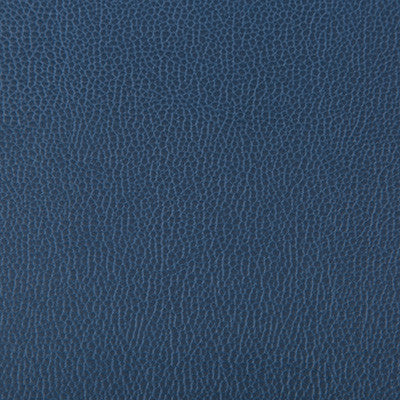 Lenox Blueberry by Kravet Contract Fabric