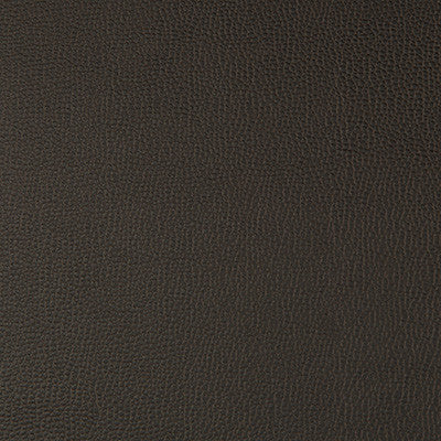 Lenox Java by Kravet Contract Fabric