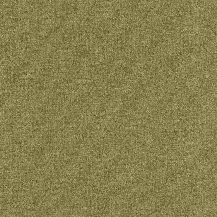 Liam Caper by Kasmir Fabric 5154 91% Polyester
9% Linen
 INDIA </p><p>Repeat: Horizontal: N/A and Vertical: N/A 55 - Fabric Carolina -