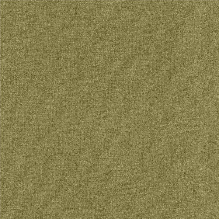 Liam Caper by Kasmir Fabric 5154 91% Polyester
9% Linen
 INDIA 51,000 Wyzenbeek Double Rubs Horizontal: N/A and Vertical: N/A 55 - Fabric Carolina -