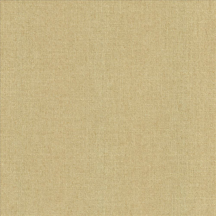 Liam Hemp by Kasmir Fabric 5153 91% Polyester
9% Linen
 INDIA 51,000 Wyzenbeek Double Rubs Horizontal: N/A and Vertical: N/A 55 - Fabric Carolina -