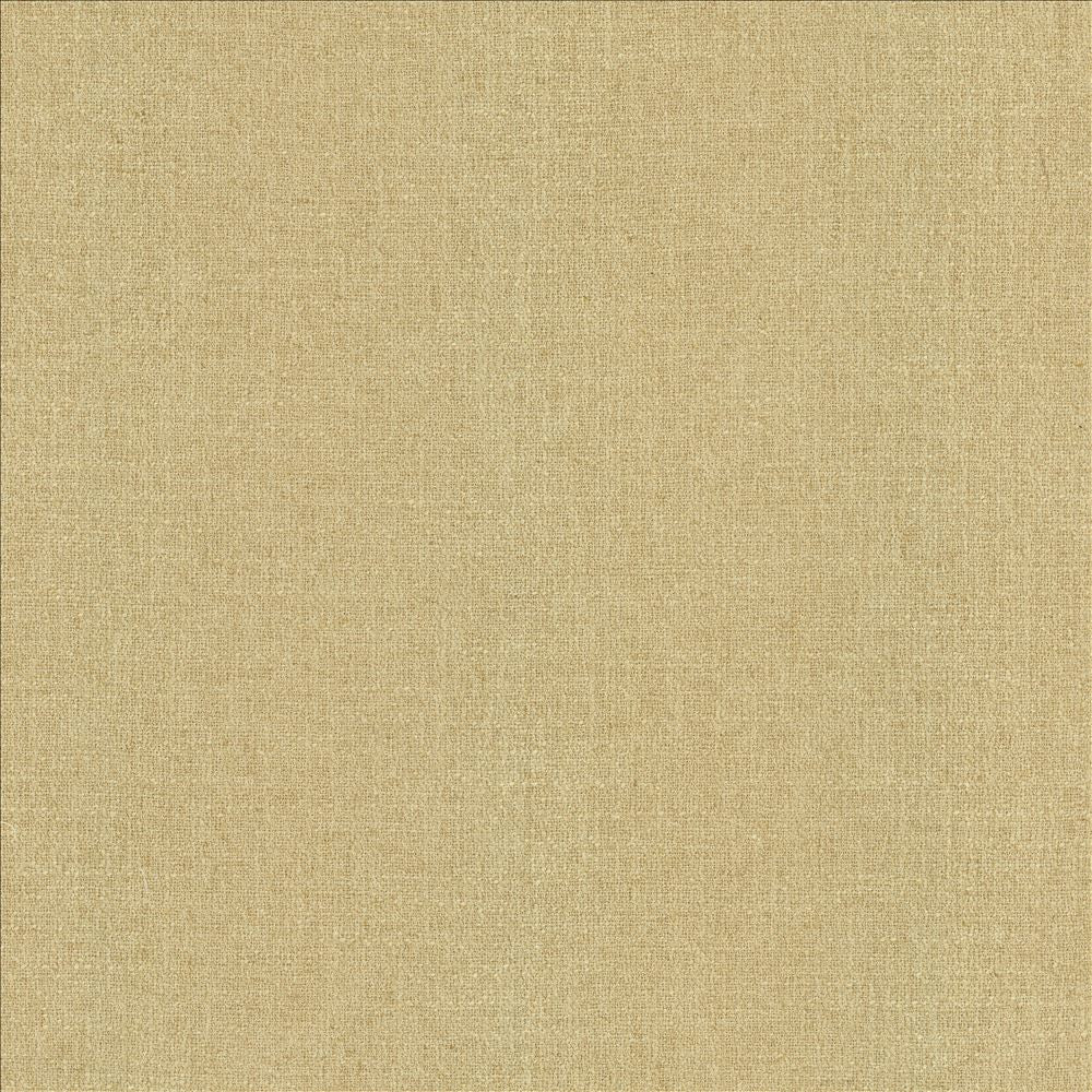 Liam Hemp  by Kasmir Fabric See sample 91% Polyester
9% Linen
 INDIA 51,000 Wyzenbeek Double Rubs </p><p>Repeat: Horizontal: N/A and Vertical: N/A 55  - Fabric Carolina -