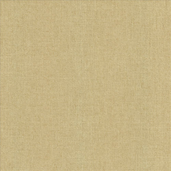 Liam Hemp by Kasmir Fabric 5153 91% Polyester
9% Linen
 INDIA </p><p>Repeat: Horizontal: N/A and Vertical: N/A 55 - Fabric Carolina -