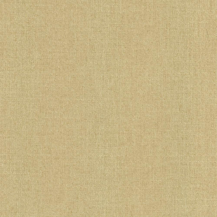Liam Hemp by Kasmir Fabric 5153 91% Polyester
9% Linen
 INDIA </p><p>Repeat: Horizontal: N/A and Vertical: N/A 55 - Fabric Carolina -