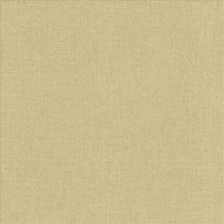 Liam Hemp by Kasmir Fabric 5153 91% Polyester 9% Linen INDIA 51,000 Wyzenbeek Double Rubs Horizontal: 0 Inches and Vertical: 0 Inches 55 - Fabric Carolina -