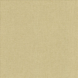 Liam Hemp by Kasmir Fabric