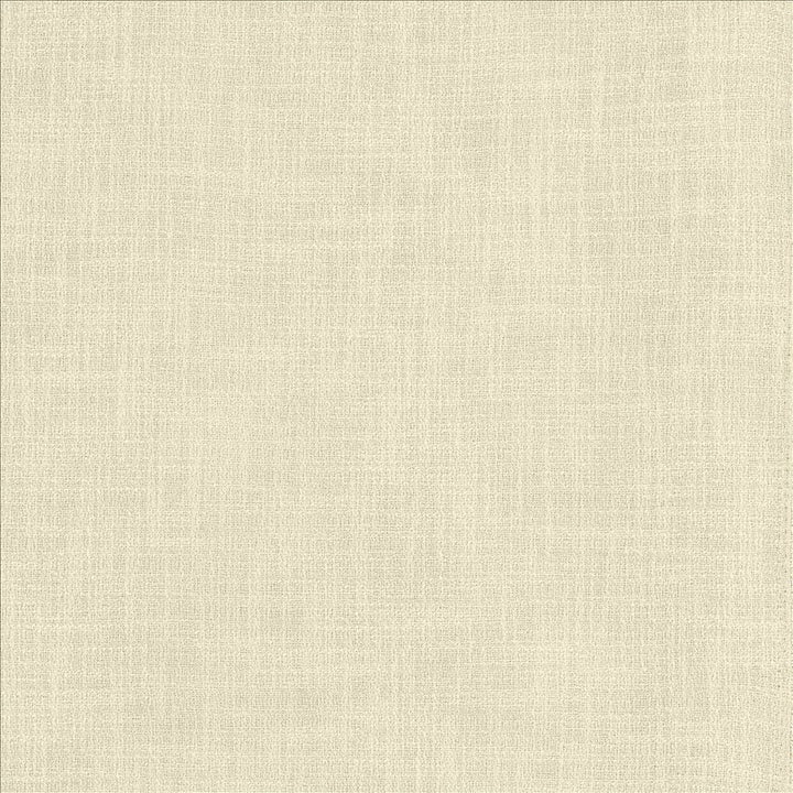 Liam Moonstone  by Kasmir Fabric See sample 91% Polyester
9% Linen
 INDIA 51,000 Wyzenbeek Double Rubs </p><p>Repeat: Horizontal: N/A and Vertical: N/A 55  - Fabric Carolina -
