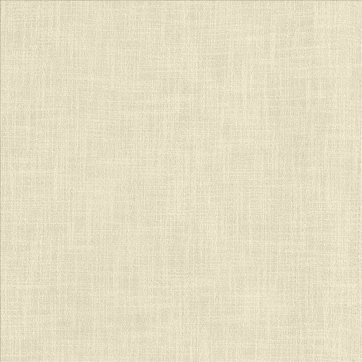 Liam Moonstone by Kasmir Fabric 5153 91% Polyester
9% Linen
 INDIA </p><p>Repeat: Horizontal: N/A and Vertical: N/A 55 - Fabric Carolina -