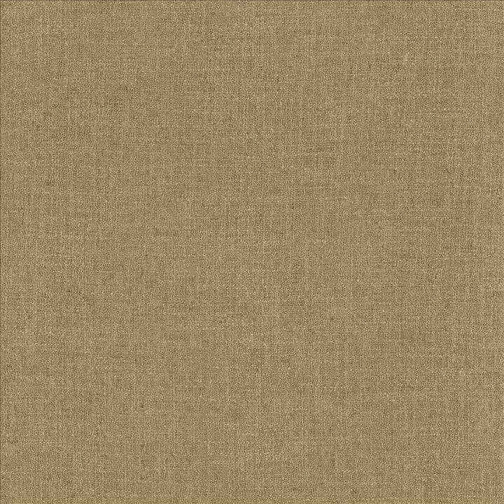 Liam Pebble by Kasmir Fabric 5153 91% Polyester
9% Linen
 INDIA </p><p>Repeat: Horizontal: N/A and Vertical: N/A 55 - Fabric Carolina -