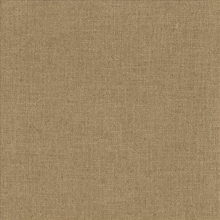 Liam Pebble by Kasmir Fabric 5153 91% Polyester
9% Linen
 INDIA 51,000 Wyzenbeek Double Rubs Horizontal: N/A and Vertical: N/A 55 - Fabric Carolina -