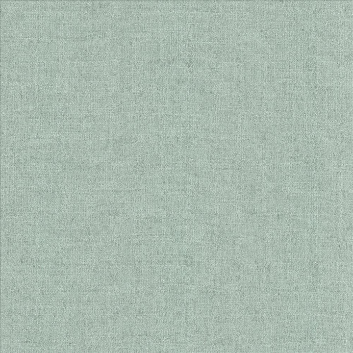 Liam Spa by Kasmir Fabric 5154 91% Polyester 9% Linen INDIA 51,000 Wyzenbeek Double Rubs Horizontal: 0 Inches and Vertical: 0 Inches 55 - Fabric Carolina -