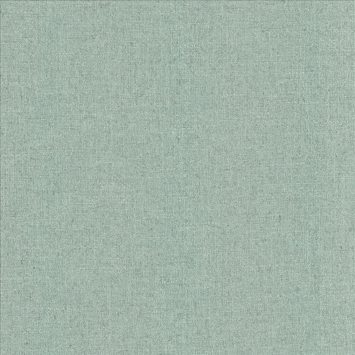 Liam Spa  by Kasmir Fabric See sample 91% Polyester
9% Linen
 INDIA 51,000 Wyzenbeek Double Rubs </p><p>Repeat: Horizontal: N/A and Vertical: N/A 55  - Fabric Carolina -