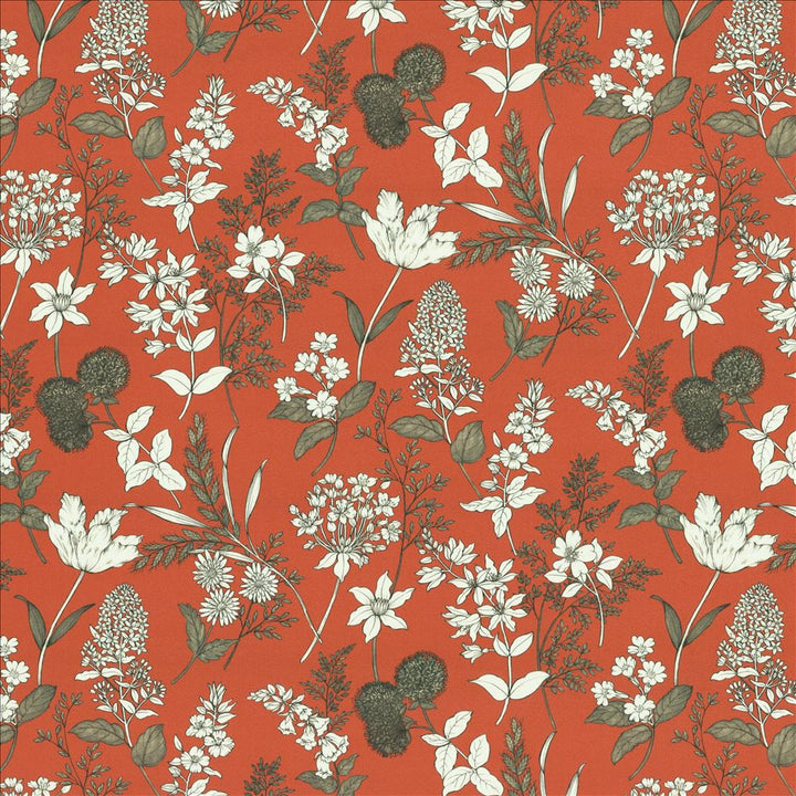 Lily Chili by Kasmir Fabric 5155 100% Cotton SPAIN 35,000 Wyzenbeek Double Rubs Horizontal: 27 inches and Vertical: 27 inches 54 - Fabric Carolina -