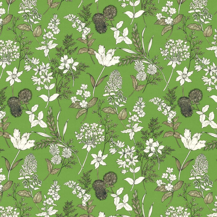 Lily Fern by Kasmir Fabric 5154 100% Cotton
 SPAIN </p><p>Repeat: Horizontal: 27 inches and Vertical: 27 inches 54 - Fabric Carolina -