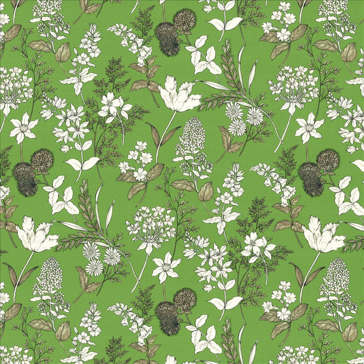 Lily Fern by Kasmir Fabric 5154 100% Cotton SPAIN 35,000 Wyzenbeek Double Rubs Horizontal: 27 inches and Vertical: 27 inches 54 - Fabric Carolina -