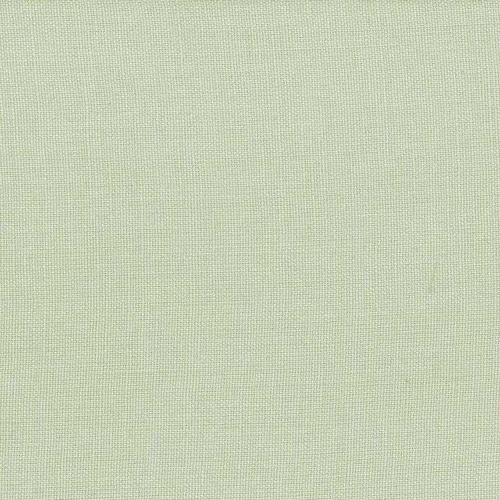 Lismore Aloe by Kasmir Fabric 1432 BRAZIL 8,000 Wyzenbeek Double Rubs H: N/A, V:N/A 54 - Fabric Carolina - Kasmir