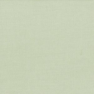 Lismore Aloe by Kasmir Fabric