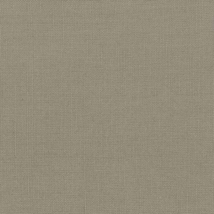 Lismore Ash by Kasmir Fabric 1432 BRAZIL 8,000 Wyzenbeek Double Rubs H: N/A, V:N/A 54 - Fabric Carolina - Kasmir