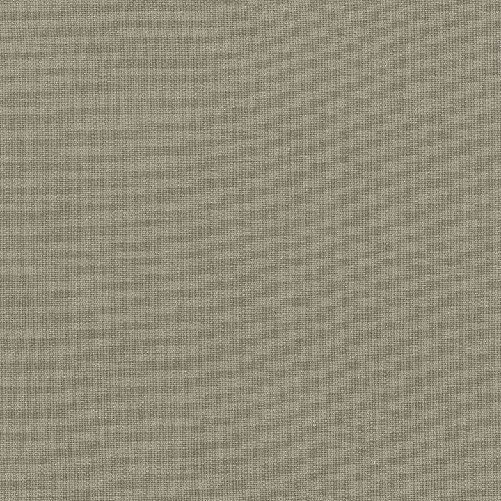 Lismore Ash by Kasmir Fabric 1432 100% Linen
 BRAZIL 8,000 Wyzenbeek Double Rubs Horizontal: N/A and Vertical: N/A 54 - Fabric Carolina -