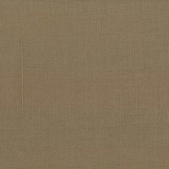 Lismore Bark by Kasmir Fabric 1432 BRAZIL 8,000 Wyzenbeek Double Rubs H: N/A, V:N/A 54 - Fabric Carolina - Kasmir