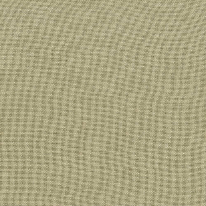 Lismore Bay Leaf by Kasmir Fabric 1432 BRAZIL 8,000 Wyzenbeek Double Rubs H: N/A, V:N/A 54 - Fabric Carolina - Kasmir