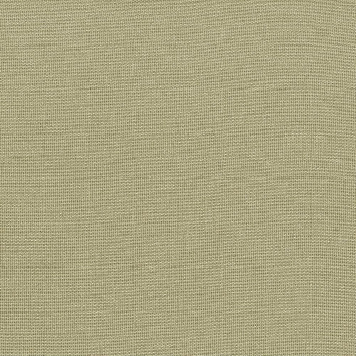 Lismore Bay Leaf by Kasmir Fabric 1432 100% Linen
 BRAZIL </p><p>Repeat: Horizontal: N/A and Vertical: N/A 54 - Fabric Carolina -
