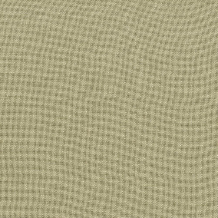 Lismore Bay Leaf by Kasmir Fabric 1432 100% Linen
 BRAZIL </p><p>Repeat: Horizontal: N/A and Vertical: N/A 54 - Fabric Carolina -