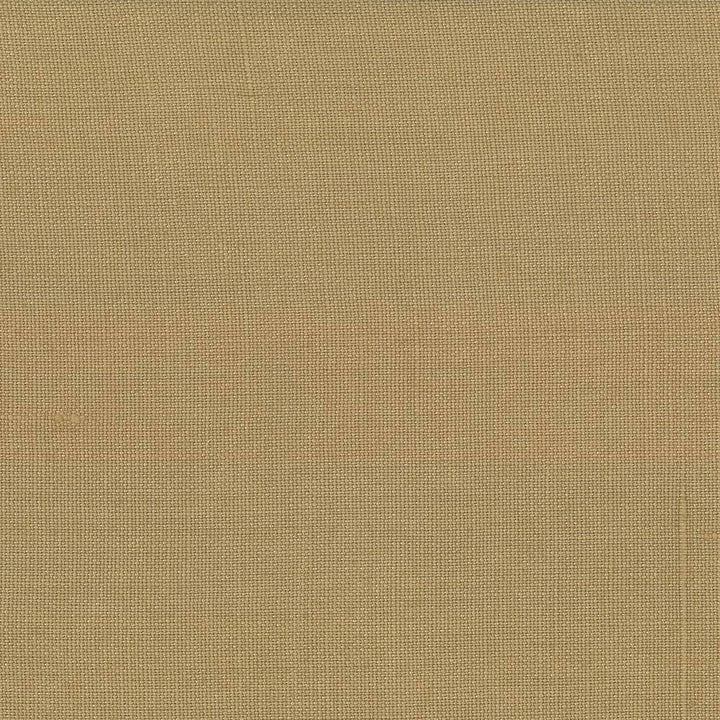 Lismore Cafe by Kasmir Fabric 1432 BRAZIL 8,000 Wyzenbeek Double Rubs H: N/A, V:N/A 54 - Fabric Carolina - Kasmir