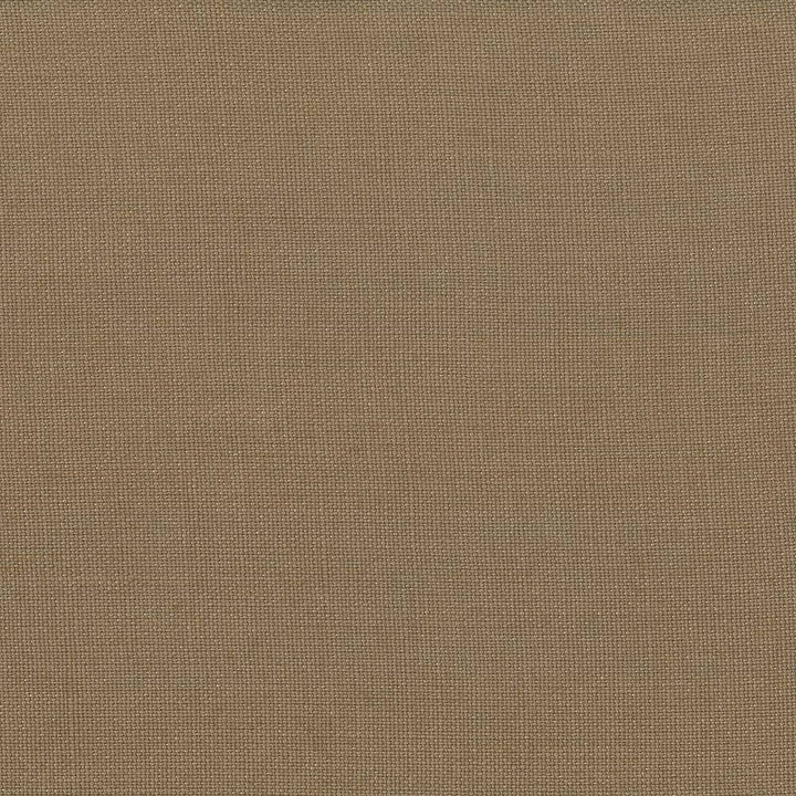 Lismore Cappuccino by Kasmir Fabric 1432 BRAZIL 8,000 Wyzenbeek Double Rubs H: N/A, V:N/A 54 - Fabric Carolina - Kasmir