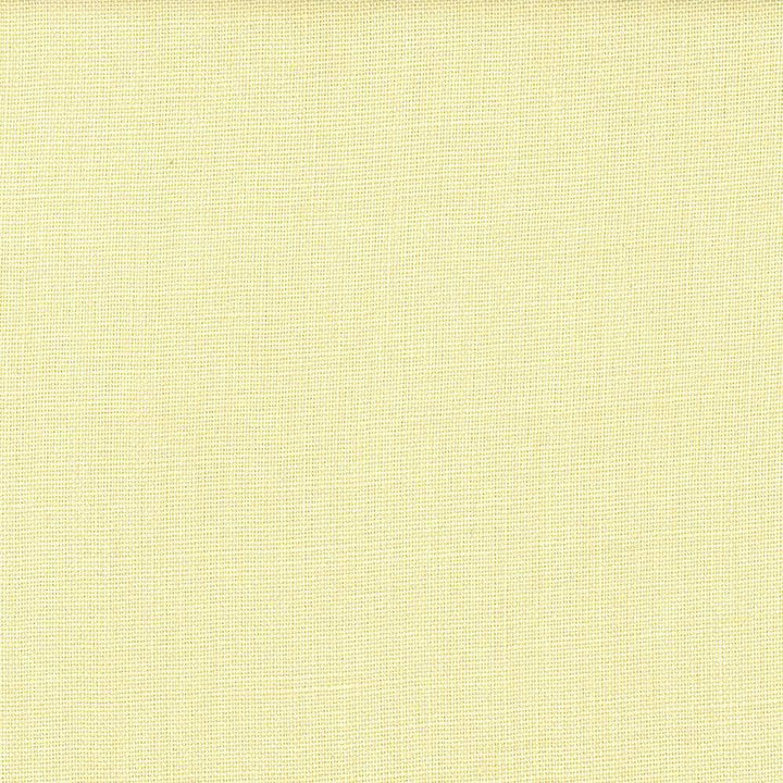 Lismore Chamois by Kasmir Fabric 1432 BRAZIL 8,000 Wyzenbeek Double Rubs H: N/A, V:N/A 54 - Fabric Carolina - Kasmir