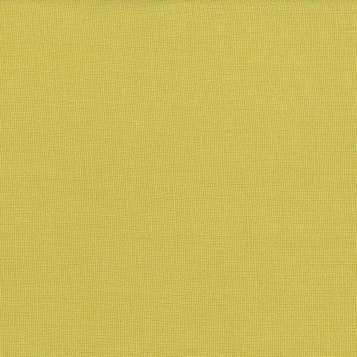 Lismore Chartreuse by Kasmir Fabric 1432 BRAZIL 8,000 Wyzenbeek Double Rubs H: N/A, V:N/A 54 - Fabric Carolina - Kasmir