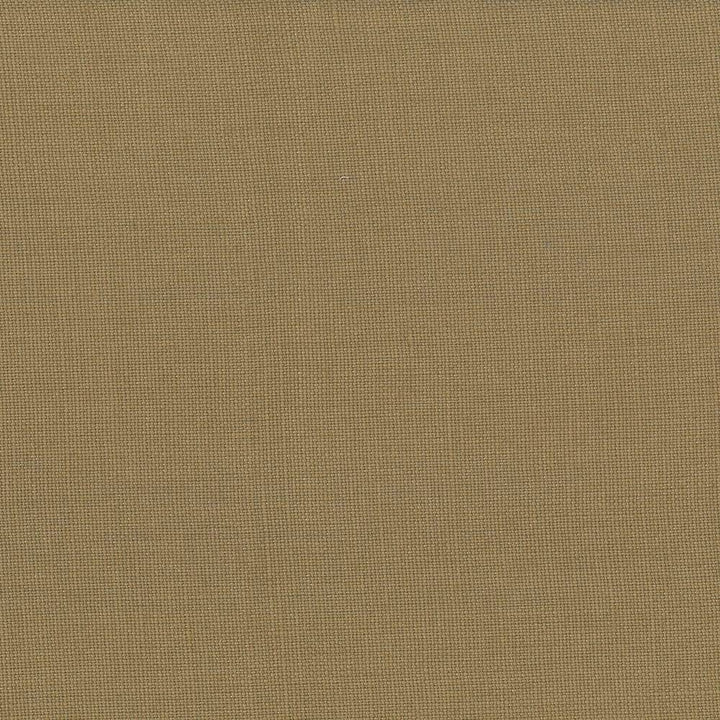 Lismore Cocoa by Kasmir Fabric 1432 BRAZIL 8,000 Wyzenbeek Double Rubs H: N/A, V:N/A 54 - Fabric Carolina - Kasmir