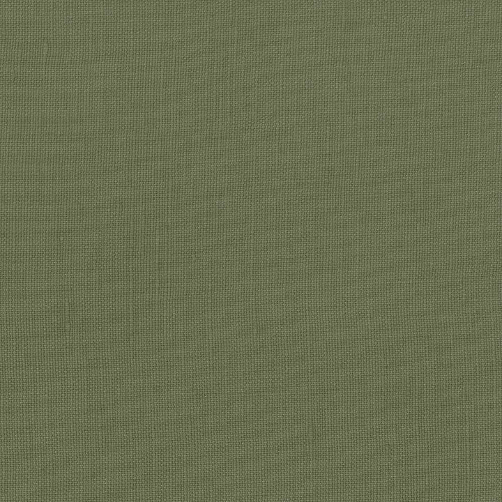 Lismore Cyprus by Kasmir Fabric 1432 BRAZIL 8,000 Wyzenbeek Double Rubs H: N/A, V:N/A 54 - Fabric Carolina - Kasmir