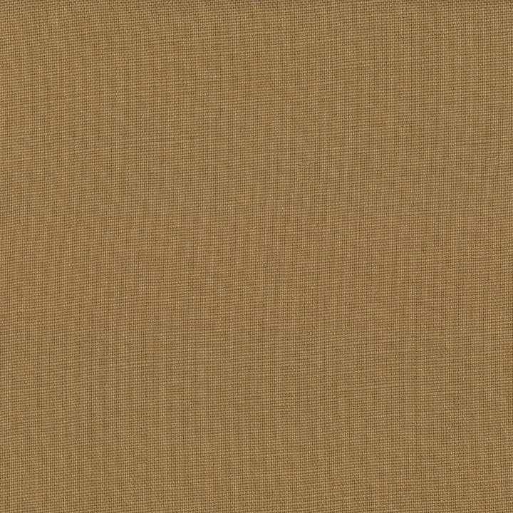 Lismore Fawn by Kasmir Fabric 1432 BRAZIL 8,000 Wyzenbeek Double Rubs H: N/A, V:N/A 54 - Fabric Carolina - Kasmir