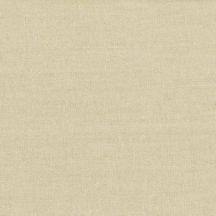 Lismore Flax by Kasmir Fabric 1432 BRAZIL 8,000 Wyzenbeek Double Rubs H: N/A, V:N/A 54 - Fabric Carolina - Kasmir
