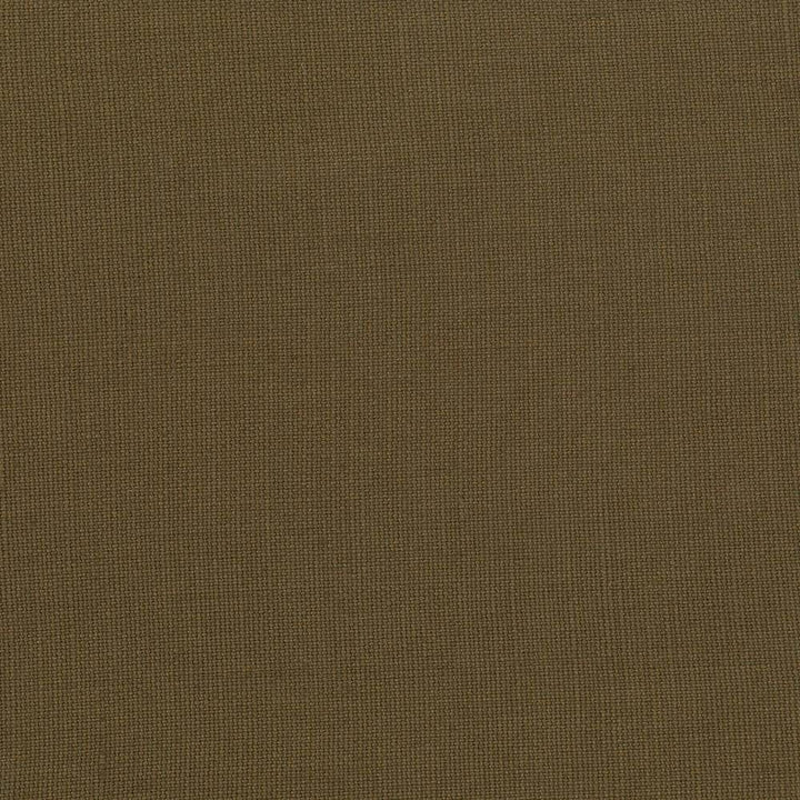 Lismore Hickory by Kasmir Fabric 1432 BRAZIL 8,000 Wyzenbeek Double Rubs H: N/A, V:N/A 54 - Fabric Carolina - Kasmir