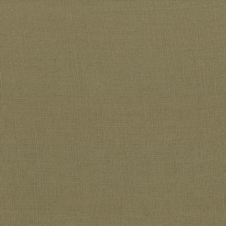 Lismore Khaki by Kasmir Fabric 1432 100% Linen
 BRAZIL </p><p>Repeat: Horizontal: N/A and Vertical: N/A 54 - Fabric Carolina -