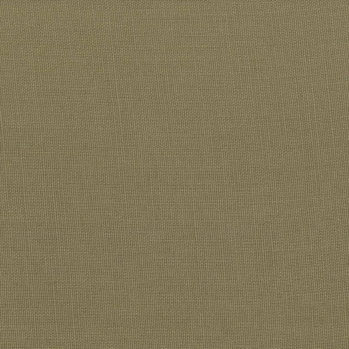 Lismore Khaki by Kasmir Fabric 1432 BRAZIL 8,000 Wyzenbeek Double Rubs H: N/A, V:N/A 54 - Fabric Carolina - Kasmir