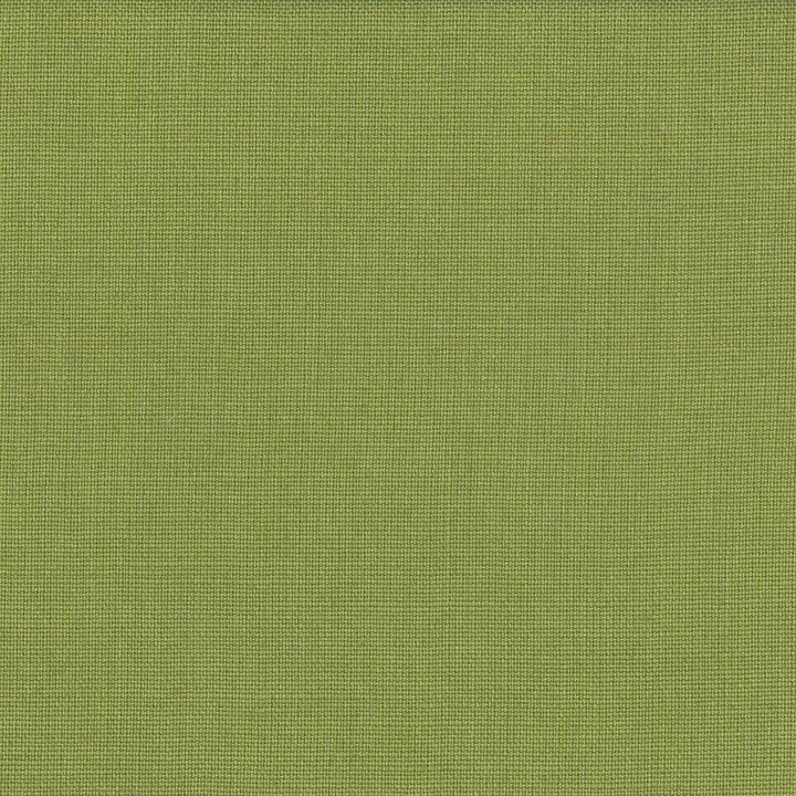 Lismore Lime by Kasmir Fabric 1432 100% Linen BRAZIL 8,000 Wyzenbeek Double Rubs Horizontal: 0 Inches and Vertical: 0 Inches 54 - Fabric Carolina -