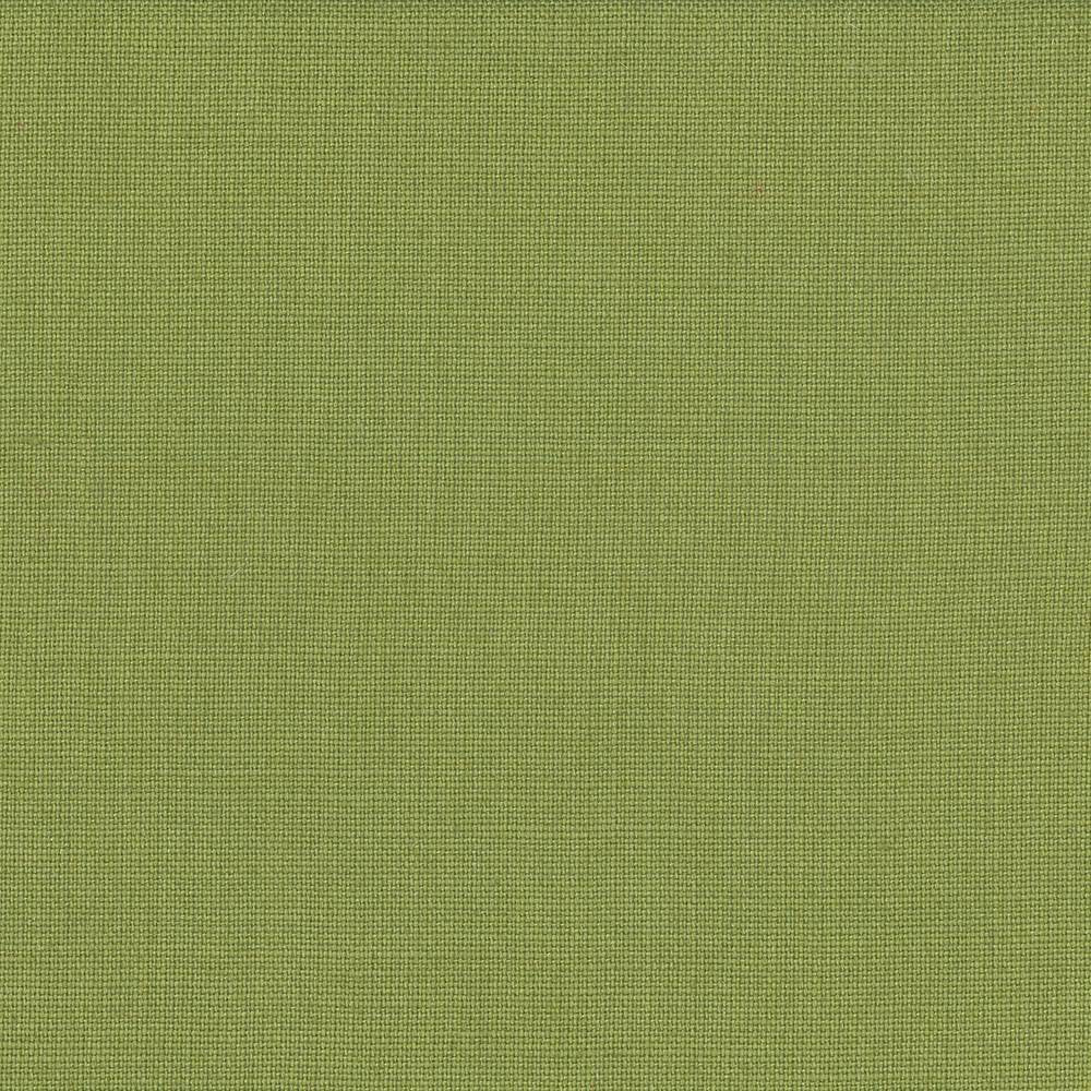 Lismore Lime by Kasmir Fabric 1432 BRAZIL 8,000 Wyzenbeek Double Rubs H: N/A, V:N/A 54 - Fabric Carolina - Kasmir