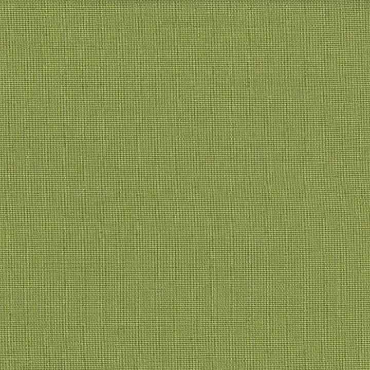 Lismore Lime by Kasmir Fabric 1432 BRAZIL 8,000 Wyzenbeek Double Rubs H: N/A, V:N/A 54 - Fabric Carolina - Kasmir