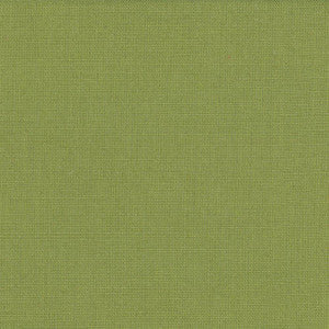 Lismore Lime by Kasmir Fabric